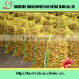 Frozen Vegetables -fresh Ginger /air Dried Ginger thumbnail-2