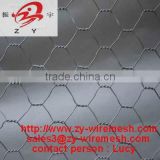 Gal hexagonal mesh ( best quality , low price, factory )