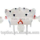 2016 New Style Insect Olfactometer With 6 Tower thumbnail-1