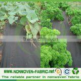 50-80GSM Black PP Spunbond Nonwoven Anti-weed