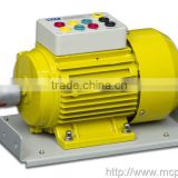 MCP TM180-220DS - Double speed three-phase asynchronous squirrel cage motor