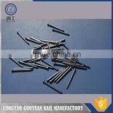 Galvanized Common Nails Wire That Most Selling Product in thumbnail-3