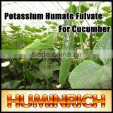FAQ 2--Potassium Humate Fulvic Acid Fertilizer For Cucumber thumbnail-4