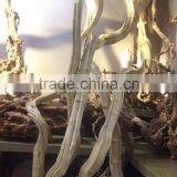 New Product Ornamental Window Display Tree Props thumbnail-6