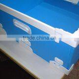 High Quality and Durable New pe Sheet pp Board for Logistic Packaging OEM Available