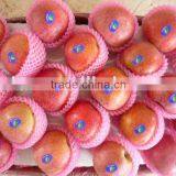 Qinguan Apple thumbnail-1