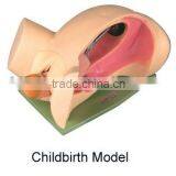 Childbirth Model