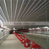 Steel Structure Shed Design Chicken Poultry Shed thumbnail-3