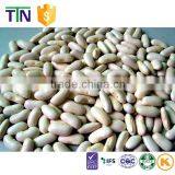 TTN Wholesale Haricot Bean and White Kidney Beans Price thumbnail-2