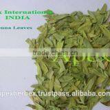 Senna Leaves No. 3 thumbnail-2