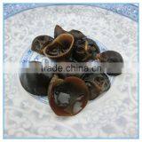 Chinese Black Fungus Extract, Auricularia Auricula thumbnail-1