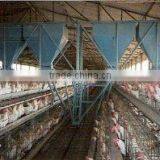 Poultry Feeding System