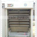 HHD High Hatching Rate Industrial Poultry Hatchery Incubator Quail Egg Peeling Machine