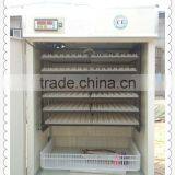 HHD High Hatching Rate industrial poultry hatchery incubator quail egg peeling machine