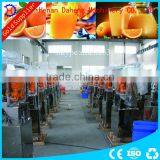 Pineapple Juice Extractor Machine Lime Juice Machine