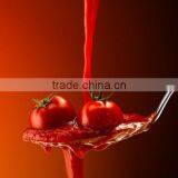 Best Quality Verticaltype High Speed Small Bag Packing Machine for Ketchup thumbnail-6