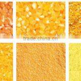 5T Maize Processing Line Maise Flour Mill Production Line Maize Sifting and Flour Milling Machine Corn Flour Grinding Mill thumbnail-6