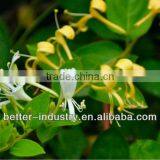 150L Gas Heating-type Plants Essential Oil Extraction Machine on Sale thumbnail-1