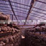Cheap Price Waterproof and Sunshine Plastic Film With Strong Tension thumbnail-1