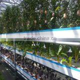 Agricultural Hydroponic NFT Planting Growing System thumbnail-5