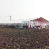 2017 Newest Marriage Tent for Sale With Decoration