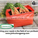 Rectangle Carrot and Root Vegetable Patio Planting Bags or Planters