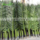 SJLJ013781 Guangzhou Factory Direct Selling Artificial Foliage Leaves High Simulation Artificial Palm Tree Leaves thumbnail-3