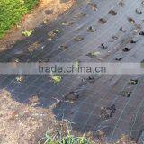 Weed Control Ground Cover Membrane Landscape Fabric thumbnail-6