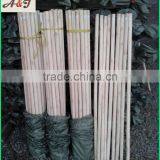 Factory Price Round Wood Poles, Natural Wooden Pole thumbnail-4
