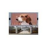 Large Advertising Performance P12 Outdoor Led Display Boards Programming , DIP346