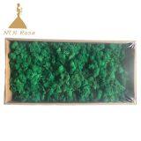 Hot Selling Green Moss Grass Wall for Decoration thumbnail-1