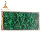 Hot Selling Green Moss Grass Wall for Decoration