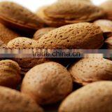 Almonds - Raw California & Turkish Almond Nuts thumbnail-1