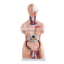 Medical Educational Toys Multi-functional Nursing Training Mannequin for sale