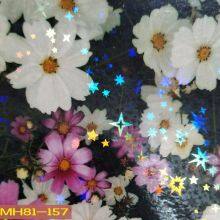 Holographic Film Laser Custom Cold Lamination Film thumbnail-4