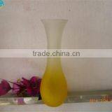 Long Trumpet Glass Vase