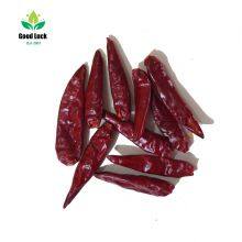 Tianying/chaotian Dry Red Chili Stemless