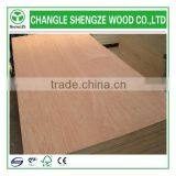 Plywood for Different Usage From Manufacture thumbnail-3