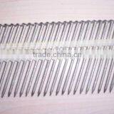 Galvanized Plastic Strip Nails Factory