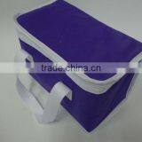 2016 Large Volume Customized Size/color Food Bag Non Woven Polyester Frozen Food Lunch Insulated Cooler Bag thumbnail-4