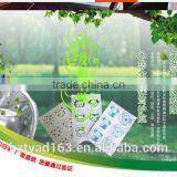 Best Anti Mosquito Repellent Patch thumbnail-1