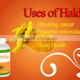 Herbal Supplement - Turmeric Extract Capsule from India