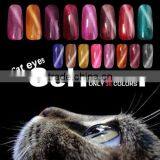 15ml Cat Eyes Gel Nail Polish Nail Art Varnish UV LED Lamp Manicure Magnetic Gel Tips