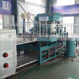 2000pcs/h Paper Egg Tray Making Machine