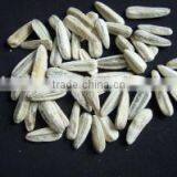 We Sale Varied Roasted Salted Sunflower Seeds