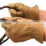 Horse Ridding Gloves
