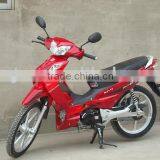 CUB Motorcycle-Wonjan110-L