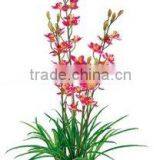 Artificial Decorative Orchid Flower/fake Flower/plastic Orchid Flowers thumbnail-1