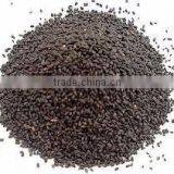 SABJA SEED thumbnail-2