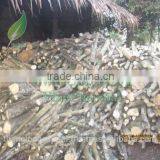 100% Natural Long Burned Time Softwood Charcoal for BBQ thumbnail-4